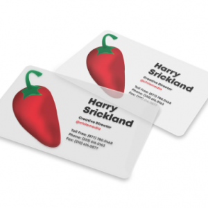 Printed Business Card From Chile Media